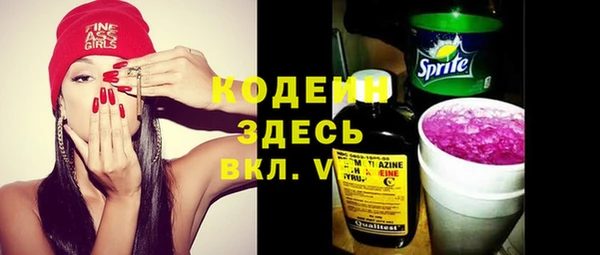мдпв Верхний Тагил